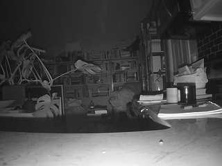 voyeurcam-bridgetleewalters-02