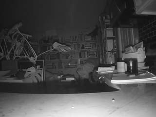 voyeurcam-bridgetleewalters-02