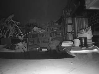 voyeurcam-bridgetleewalters-02