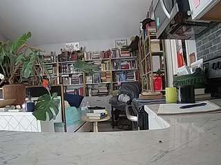 voyeurcam-bridgetleewalters-02