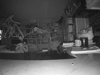 voyeurcam-bridge... Live Webcam on CamSoda