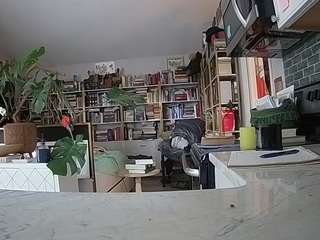 voyeurcam bridgetleewalters 02