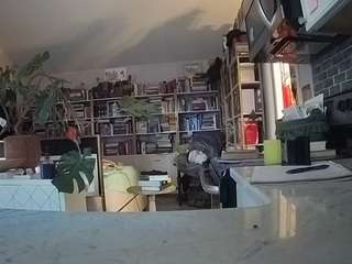 voyeurcam bridgetleewalters 02