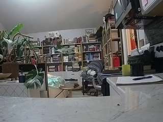 voyeurcam bridgetleewalters 02