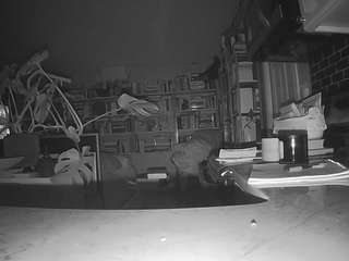 voyeurcam-bridgetleewalters-02