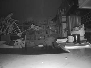 voyeurcam-bridgetleewalters-02