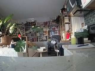 voyeurcam-bridgetleewalters-02, female webcam model,  years old, on live webcam