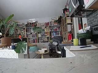 voyeurcam-bridgetleewalters-02