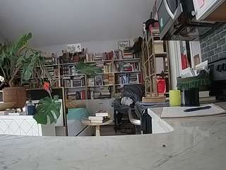 voyeurcam-bridgetleewalters-02
