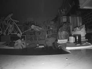 voyeurcam-bridgetleewalters-02 webcam model