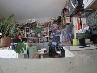 voyeurcam bridgetleewalters 02