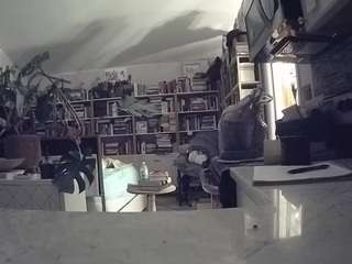 voyeurcam-bridgetleewalters-02