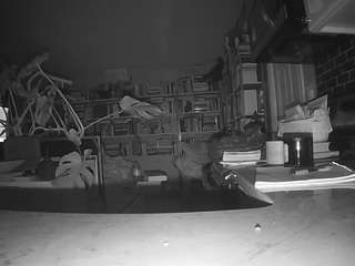 voyeurcam-bridge... Live Webcam on CamSoda