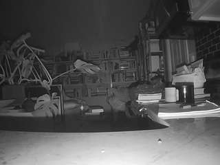 voyeurcam bridgetleewalters 02