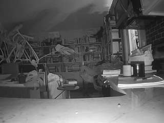 voyeurcam-bridgetleewalters-02