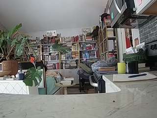 voyeurcam-bridgetleewalters-02