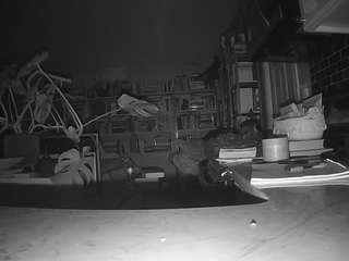 voyeurcam-bridgetleewalters-02