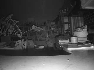 voyeurcam-bridgetleewalters-02