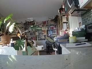voyeurcam-bridgetleewalters-02