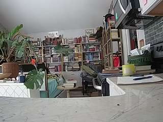 voyeurcam-bridgetleewalters-02