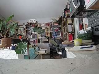 voyeurcam-bridgetleewalters-02