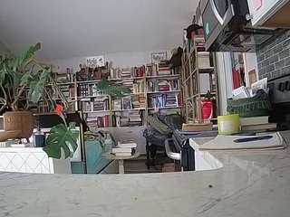 voyeurcam-bridgetleewalters-02
