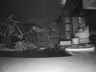 voyeurcam-bridgetleewalters-02