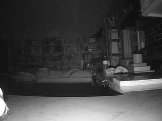 voyeurcam-bridgetleewalters-02