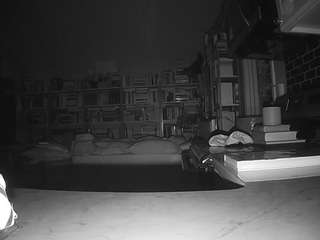 voyeurcam-bridgetleewalters-02