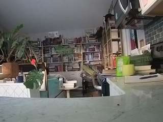 voyeurcam-bridgetleewalters-02