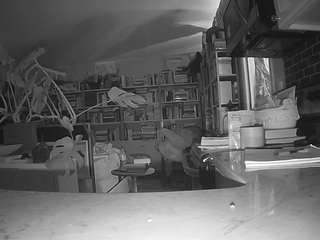 voyeurcam-bridgetleewalters-02