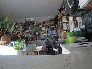 voyeurcam-bridgetleewalters-02 Hidden live webcam