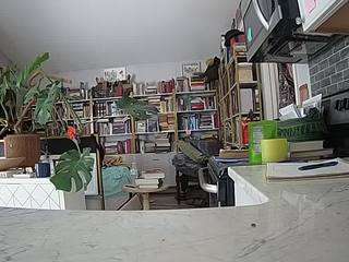 voyeurcam-bridgetleewalters-02 Drinking live webcam