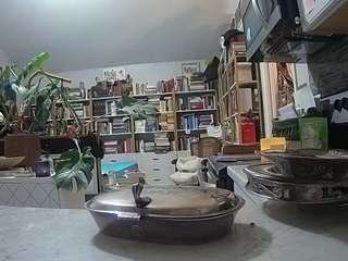 voyeurcam-bridgetleewalters-02