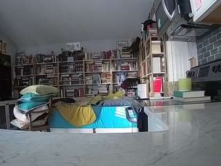 voyeurcam-bridgetleewalters-02