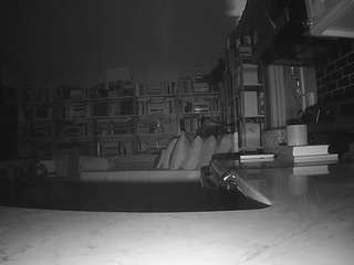 voyeurcam-bridgetleewalters-02 live cam profile