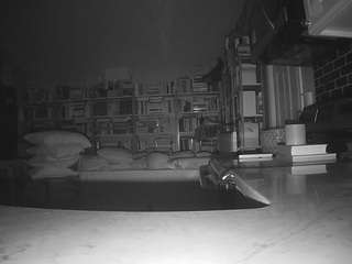 voyeurcam-bridgetleewalters-02 live cam profile