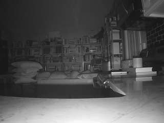 voyeurcam-bridgetleewalters-02 live cam profile