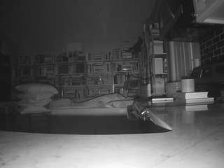 voyeurcam-bridgetleewalters-02 live cam profile