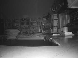 voyeurcam-bridgetleewalters-02 live cam profile