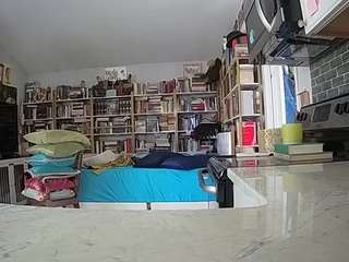 voyeurcam-bridge... Live Webcam on CamSoda