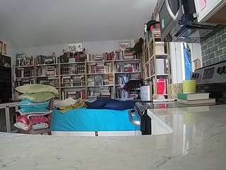 voyeurcam-bridgetleewalters-02 live cam profile