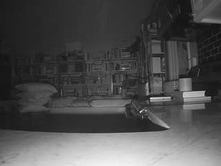 voyeurcam-bridgetleewalters-02 live cam profile