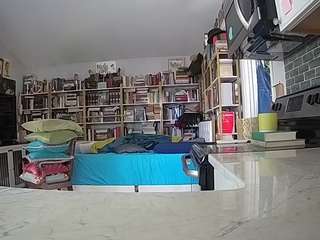voyeurcam bridgetleewalters 02