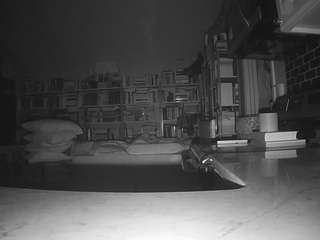 voyeurcam-bridgetleewalters-02 live cam profile