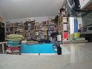 voyeurcam-bridgetleewalters-02 live cam profile