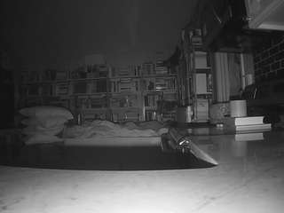 voyeurcam-bridgetleewalters-02 live cam profile