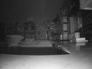 voyeurcam-bridgetleewalters-02