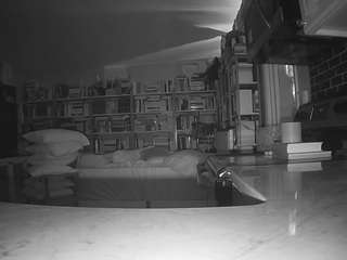 voyeurcam-bridgetleewalters-02 live cam profile