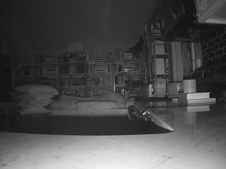 voyeurcam-bridgetleewalters-02